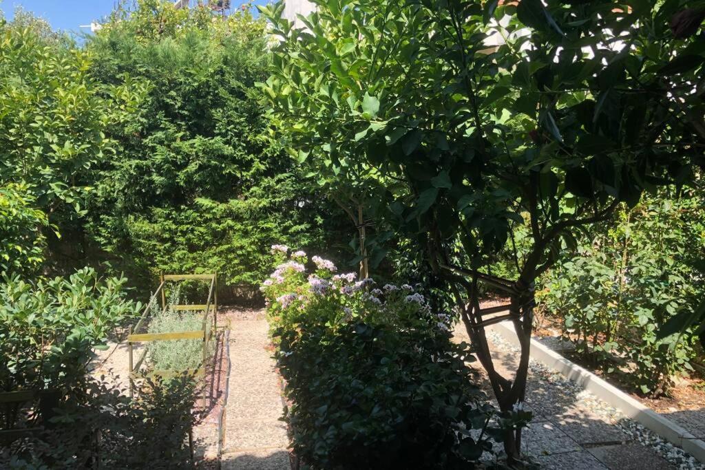 ΑΝΑΚΑΙΝΙΣΜΕΝΗ ΜΟΝΟΚΑΤΟΙΚΙΑ 125 τμ ΣΤΟ ΚΕΝΤΡΟ ΜΕ ΚΗΠΟ Βίλα Μεσολόγγι Εξωτερικό φωτογραφία